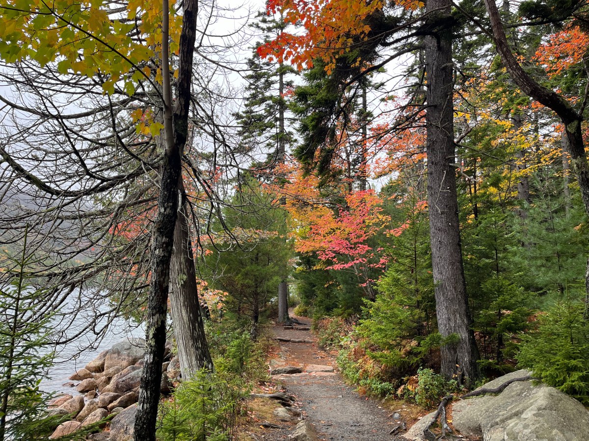 Acadia National Park in the&nbsp;Fall