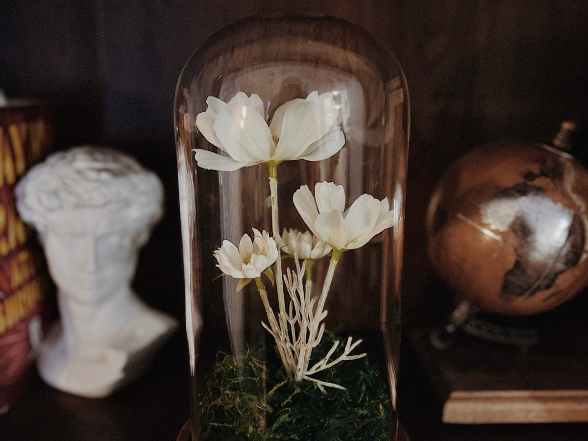 DIY Gift: Flower&nbsp;Cloche