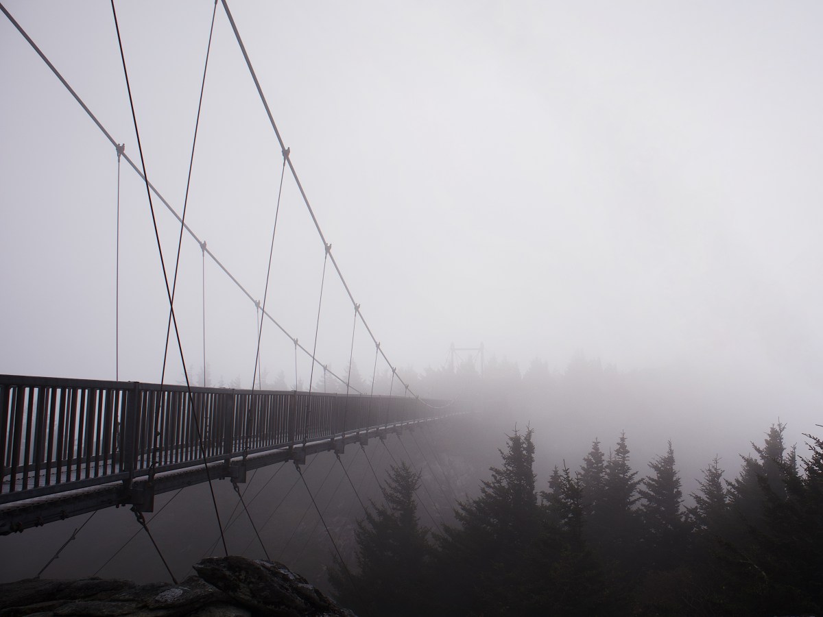 My Camera: Canon EOS M50&nbsp;Mirrorless